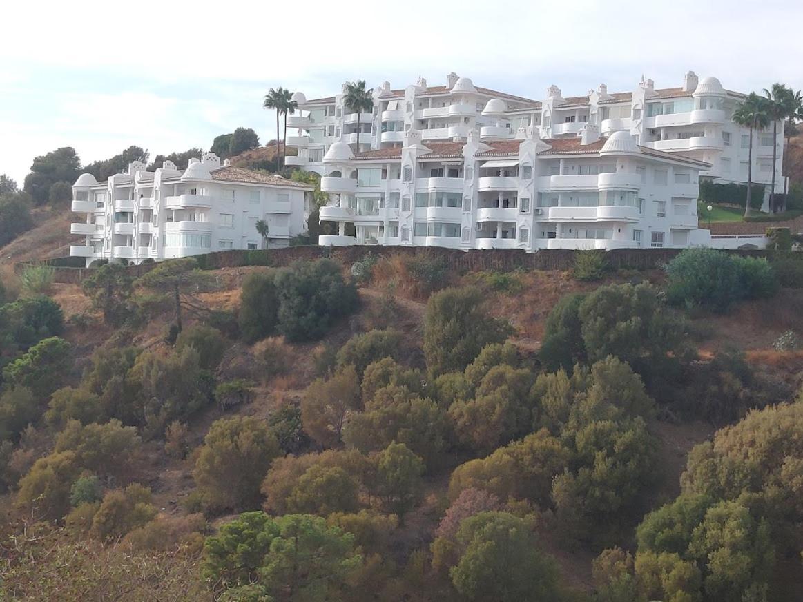 Mediterranean Pearl Close To *